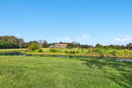 "15-Acre Sour Lake Treasure: Farmhouse, Gardens, and Pond" - image 41
