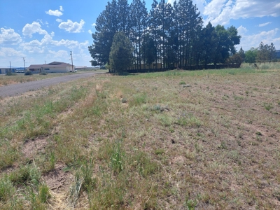 City Lots/Waters/Sewer/Electricity/Views/.54 acres - image 2