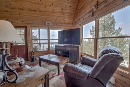 Mountain Home in Fairplay, Colorado For Sale! - image 2