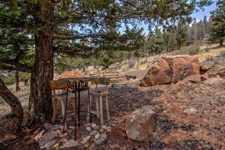 Mountain Home in Fairplay, Colorado For Sale! - image 50