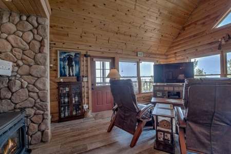 Mountain Home in Fairplay, Colorado For Sale! - image 3