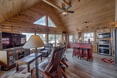 Mountain Home in Fairplay, Colorado For Sale! - image 7