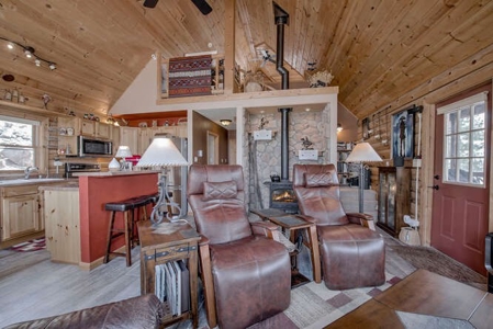 Mountain Home in Fairplay, Colorado For Sale! - image 5