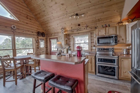 Mountain Home in Fairplay, Colorado For Sale! - image 13