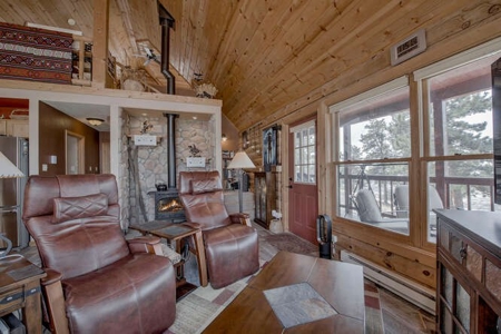 Mountain Home in Fairplay, Colorado For Sale! - image 6