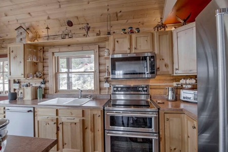 Mountain Home in Fairplay, Colorado For Sale! - image 12