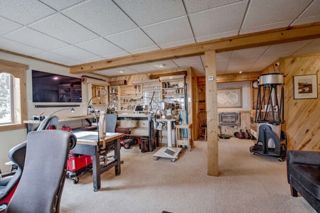 Mountain Home in Fairplay, Colorado For Sale! - image 31