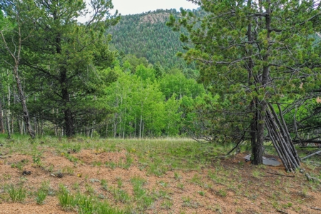 Beautiful Mountain Property with Privacy and Amazing Views - image 34