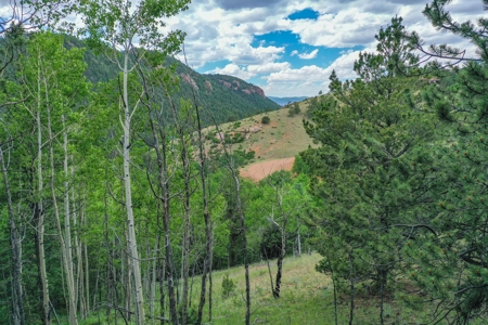 Beautiful Mountain Property with Privacy and Amazing Views - image 31