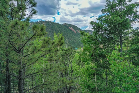 Beautiful Mountain Property with Privacy and Amazing Views - image 25
