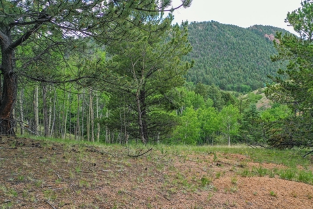 Beautiful Mountain Property with Privacy and Amazing Views - image 33