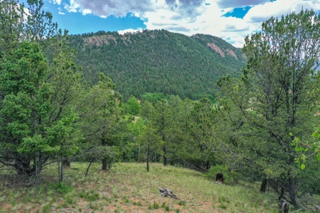 Beautiful Mountain Property with Privacy and Amazing Views - image 7