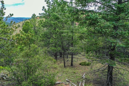Beautiful Mountain Property with Privacy and Amazing Views - image 22