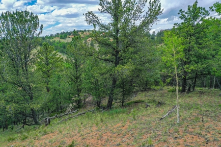 Beautiful Mountain Property with Privacy and Amazing Views - image 8