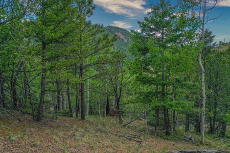 Beautiful Mountain Property with Privacy and Amazing Views - image 26
