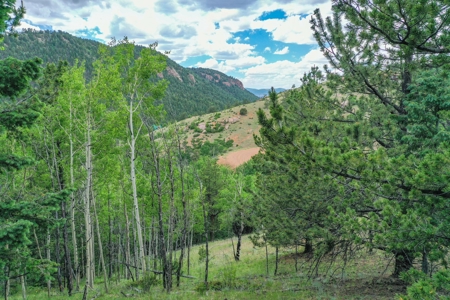Beautiful Mountain Property with Privacy and Amazing Views - image 28