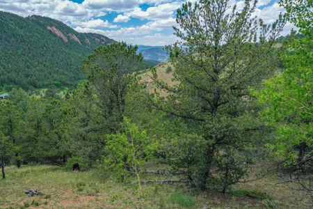 Beautiful Mountain Property with Privacy and Amazing Views - image 5