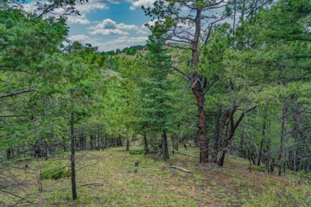 Beautiful Mountain Property with Privacy and Amazing Views - image 21