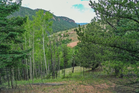 Beautiful Mountain Property with Privacy and Amazing Views - image 29