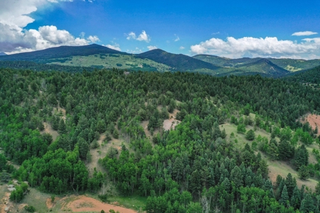 Beautiful Mountain Property with Privacy and Amazing Views - image 1