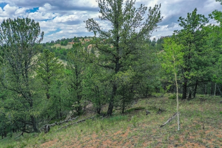 Beautiful Mountain Property with Privacy and Amazing Views - image 9