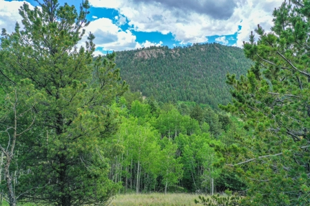 Beautiful Mountain Property with Privacy and Amazing Views - image 35