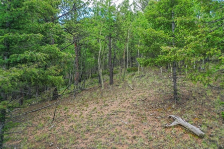 Beautiful Mountain Property with Privacy and Amazing Views - image 23