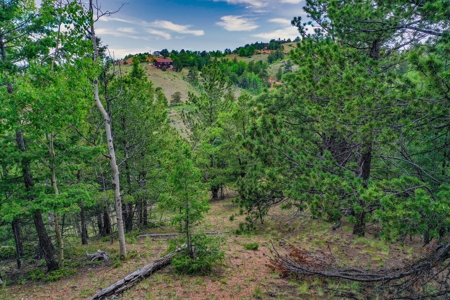 Beautiful Mountain Property with Privacy and Amazing Views - image 27