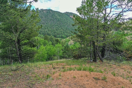 Beautiful Mountain Property with Privacy and Amazing Views - image 32