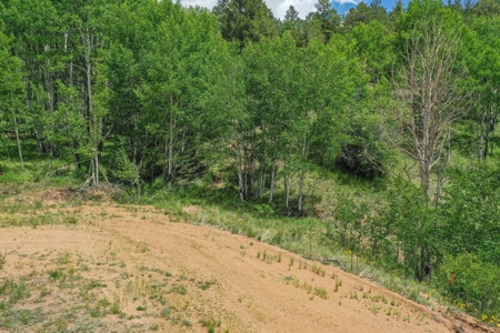 Beautiful Mountain Property with Privacy and Amazing Views - image 37