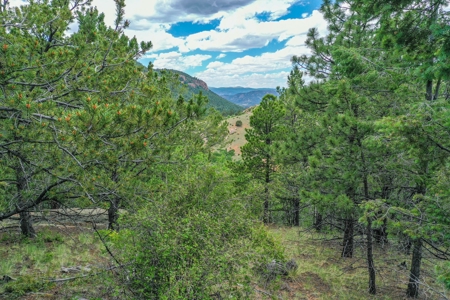 Beautiful Mountain Property with Privacy and Amazing Views - image 20