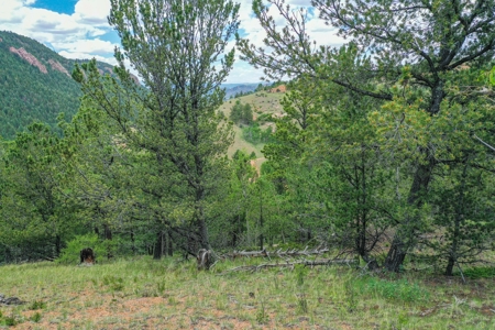 Beautiful Mountain Property with Privacy and Amazing Views - image 2