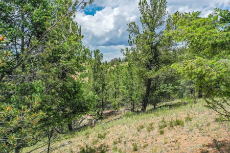 Beautiful Mountain Property with Privacy and Amazing Views - image 19