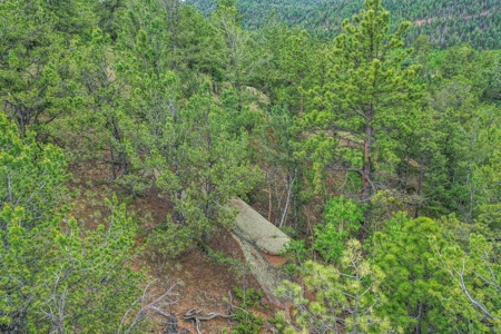 Beautiful Mountain Property with Privacy and Amazing Views - image 24