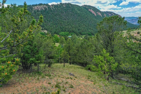 Beautiful Mountain Property with Privacy and Amazing Views - image 6
