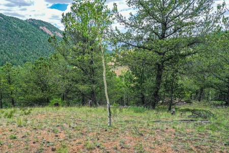 Beautiful Mountain Property with Privacy and Amazing Views - image 4