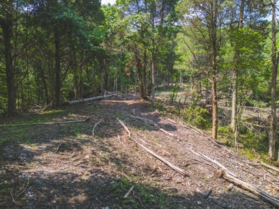 Online Auction - Unrestricted Land in the Church Hill Commun - image 25