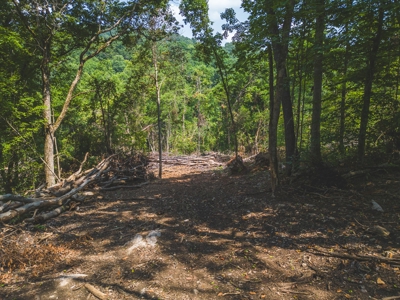 Online Auction - Unrestricted Land in the Church Hill Commun - image 26