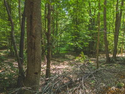 Online Auction - Unrestricted Land in the Church Hill Commun - image 2