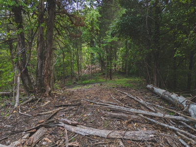 Online Auction - Unrestricted Land in the Church Hill Commun - image 13