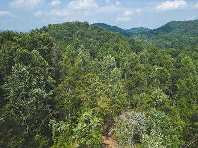 Online Auction - Unrestricted Land in the Church Hill Commun - image 8