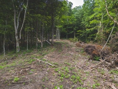 Online Auction - Unrestricted Land in the Church Hill Commun - image 14