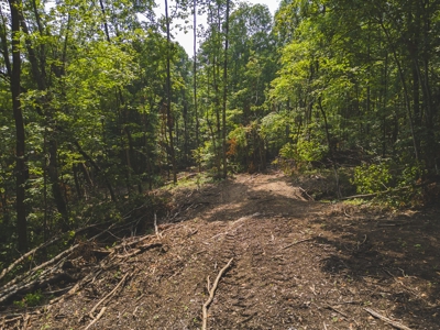 Online Auction - Unrestricted Land in the Church Hill Commun - image 15