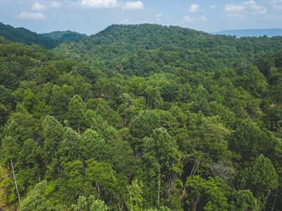 Online Auction - Unrestricted Land in the Church Hill Commun - image 9