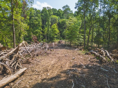 Online Auction - Unrestricted Land in the Church Hill Commun - image 23