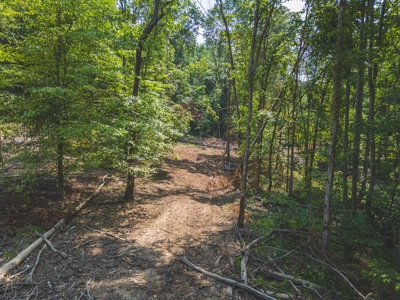 Online Auction - Unrestricted Land in the Church Hill Commun - image 24