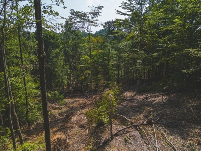 Online Auction - Unrestricted Land in the Church Hill Commun - image 7