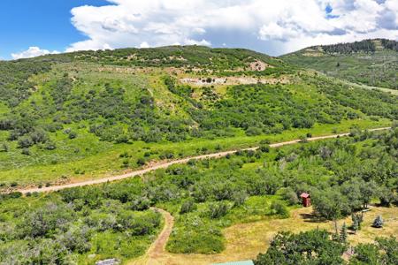 Mountain Home on Acreage for sale in Collbran, Colorado - image 19