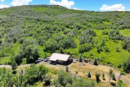 Mountain Home on Acreage for sale in Collbran, Colorado - image 21