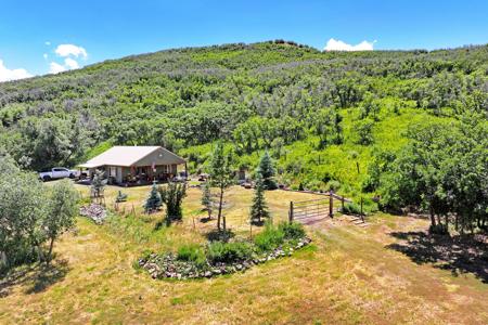 Mountain Home on Acreage for sale in Collbran, Colorado - image 22